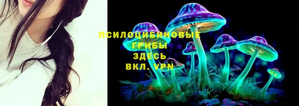 соль ск Костерёво