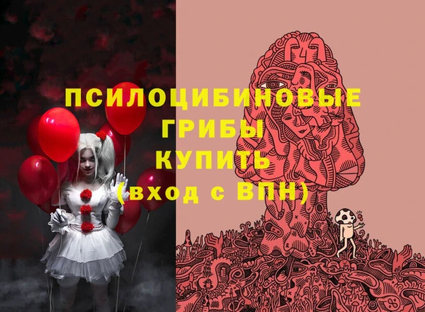 таблы Коряжма