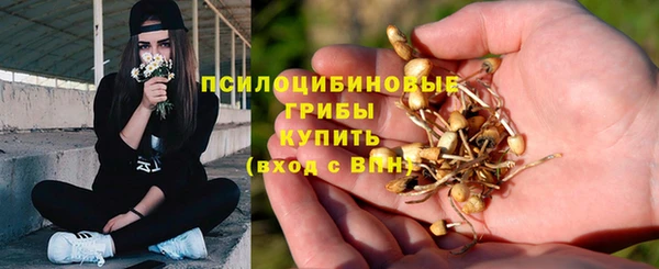 таблы Коряжма