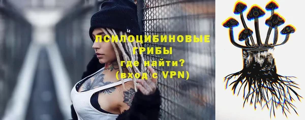 соль ск Костерёво