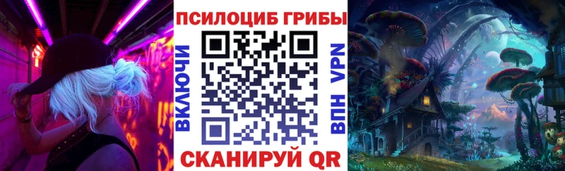 Купить где  Карабулак  Псилоцибиновые грибы Magic Shrooms 